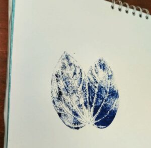 Foto derecho de autor : Nydia Rivera.