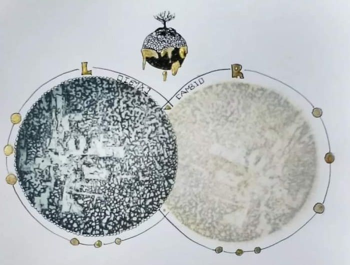 Obra de: Nydia Rivera